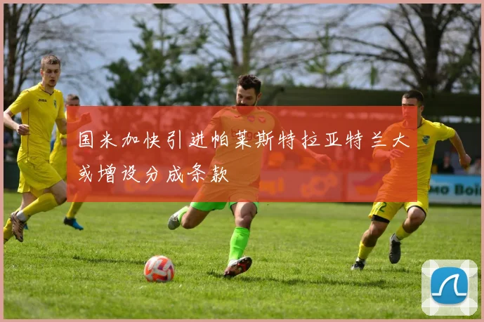 国米加快引进帕莱斯特拉亚特兰大或增设分成条款